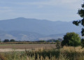 Продава ПАРЦЕЛ, с. Оризари, област Пловдив, снимка 1