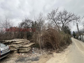 ����� ������� ������,���� �����, ���������