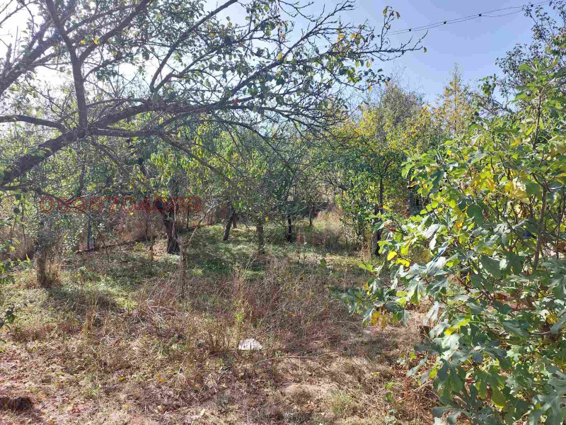 Продава КЪЩА, с. Скриняно, област Кюстендил, снимка 13 - Къщи - 52779368