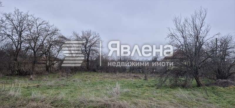 Продава  Парцел област Пловдив , с. Сухозем , 1010 кв.м | 11495665
