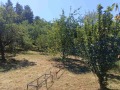 Продава ПАРЦЕЛ, гр. Дряново, област Габрово, снимка 2