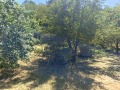 Продава  Парцел област Габрово , гр. Дряново , 935 кв.м | 88919779 - изображение [3]