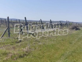 Продажба на имоти в с. Драчево, област Бургас - изображение 12 