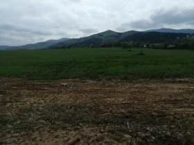 ����� ������� ������,��. ������, ������ �����