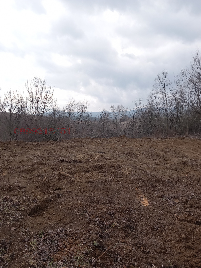 Продава ПАРЦЕЛ, с. Соволяно, област Кюстендил, снимка 4 - Парцели - 52782516