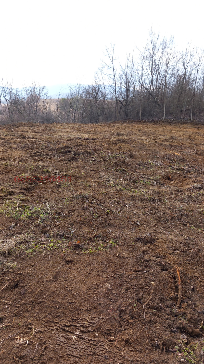 Продава ПАРЦЕЛ, с. Соволяно, област Кюстендил