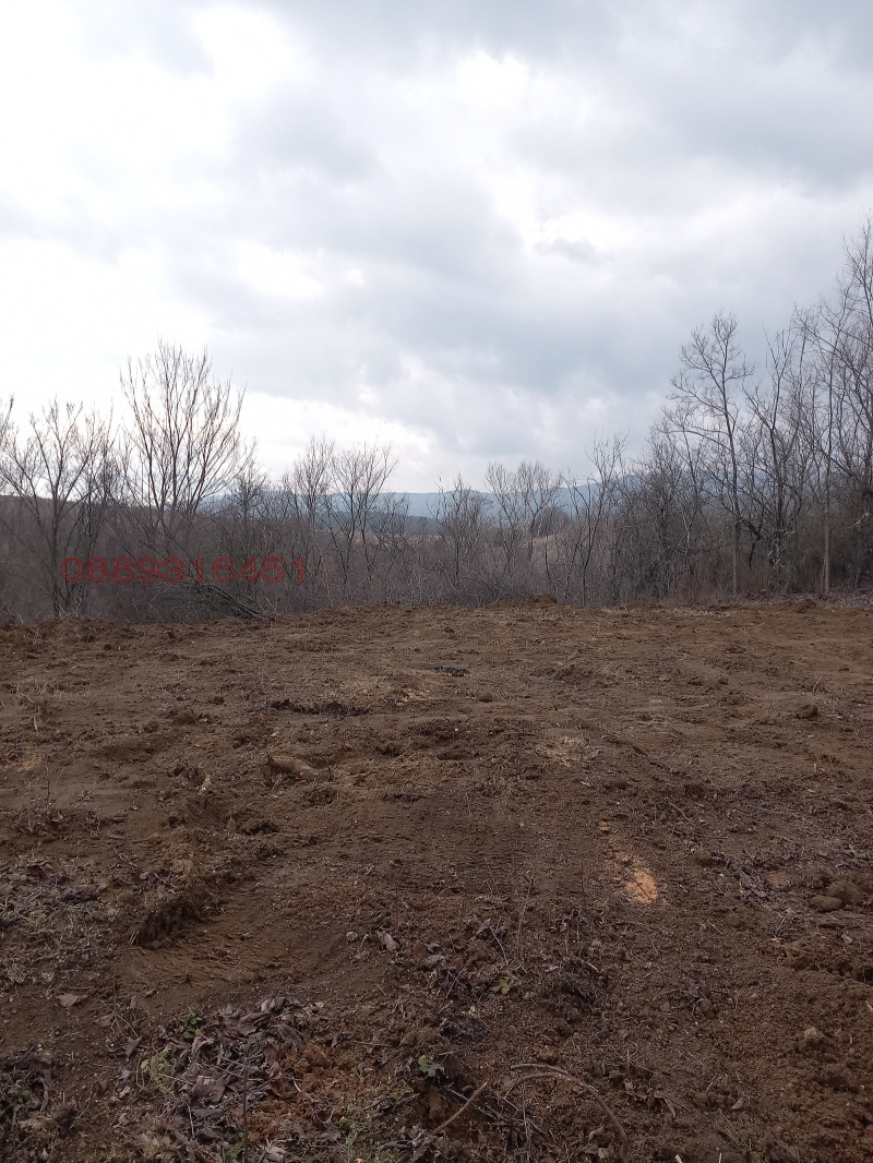 Продава ПАРЦЕЛ, с. Соволяно, област Кюстендил, снимка 5 - Парцели - 52782516