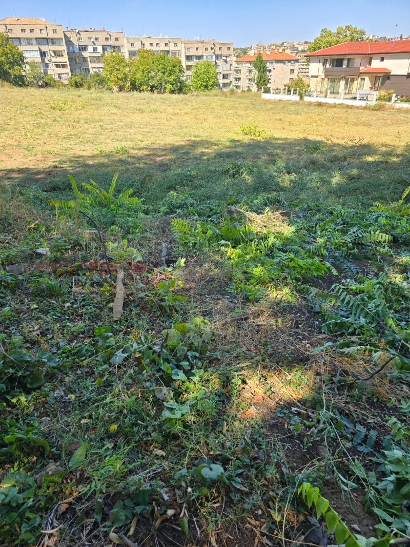 Продава ПАРЦЕЛ, гр. Попово, област Търговище, снимка 3 - Парцели - 52330740