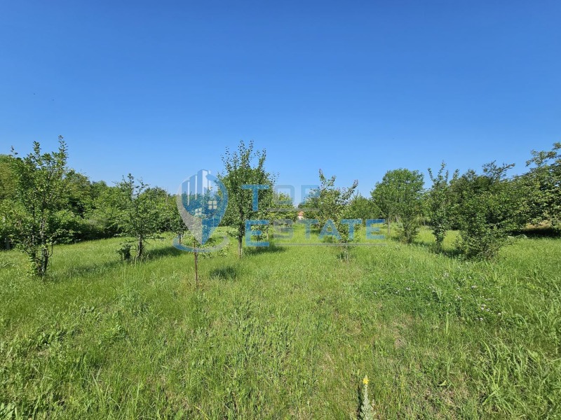 Til salgs  Plott region Veliko Tarnovo , Pravda , 1460 kvm | 81350702 - bilde [13]
