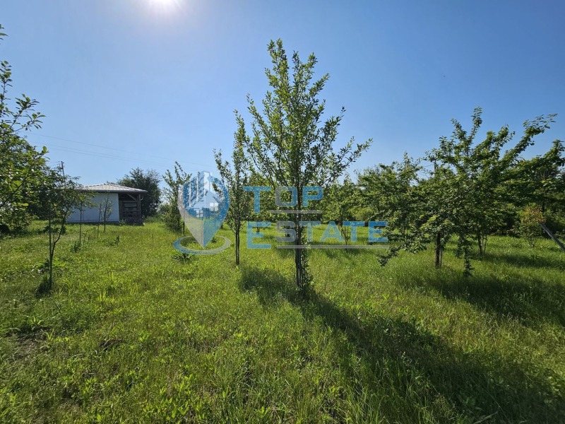 Продаја  Плот регион Велико Тарново , Правда , 1460 м2 | 81350702 - слика [6]