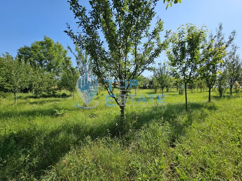 Продаја  Плот регион Велико Тарново , Правда , 1460 м2 | 81350702 - слика [14]