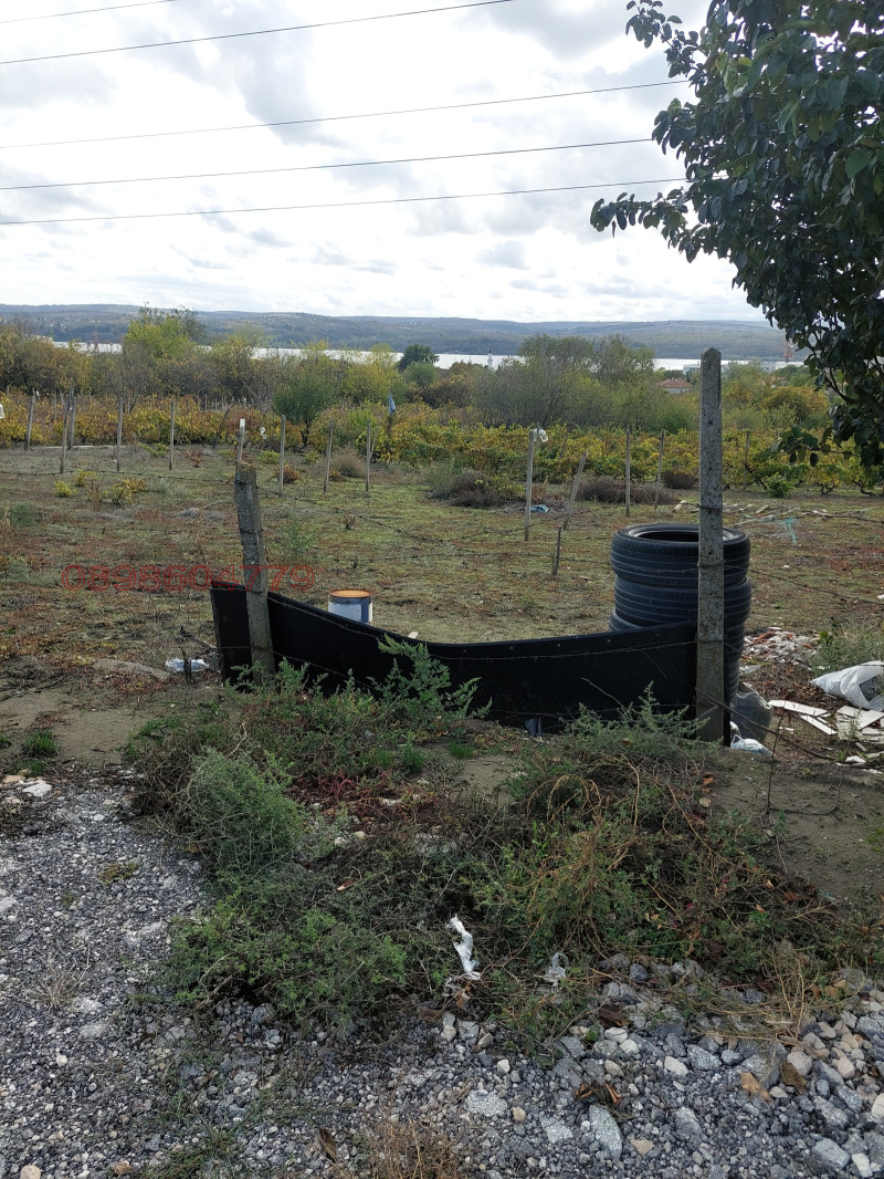 Продава ПАРЦЕЛ, с. Езерово, област Варна, снимка 6 - Парцели - 52781909