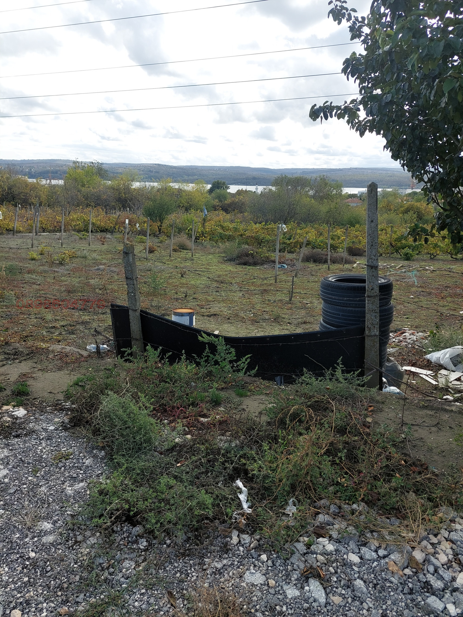 Продава ПАРЦЕЛ, с. Езерово, област Варна, снимка 5 - Парцели - 53882917