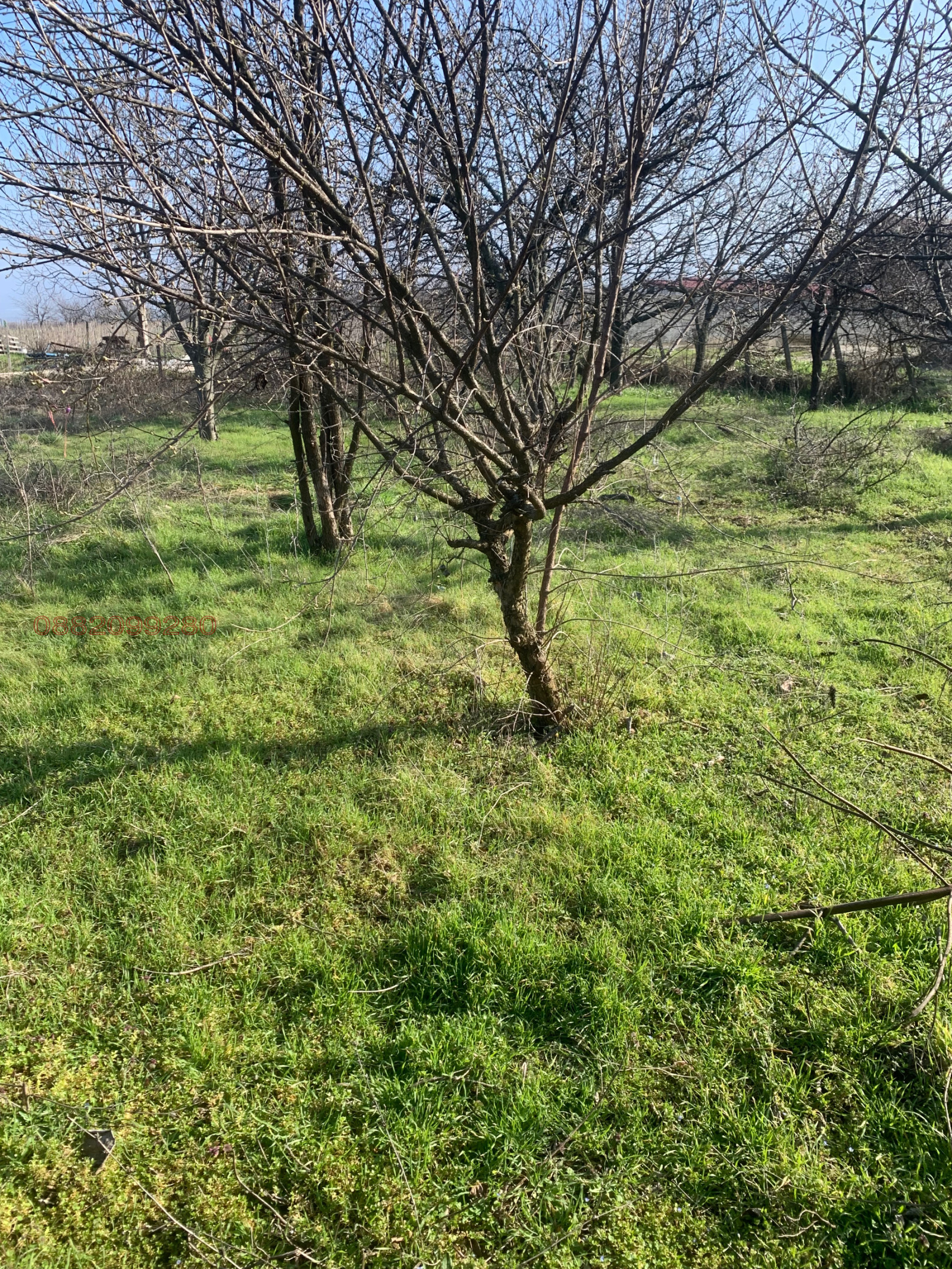 ������� ������ | Imot.bg � ����������� 3