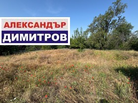 Verhaallijn v.z. Kaseva Tsjesjma, Ruse