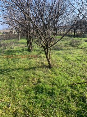 ������� ������ | Imot.bg � ����� ������ 3