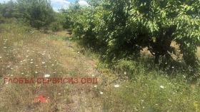 ������� ���������� ���� | Imot.bg � ����� ������ 7