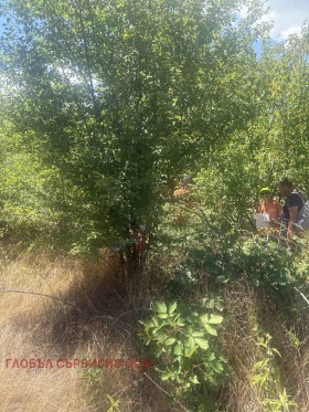 ������� ���������� ���� | Imot.bg � ����� ������ 2