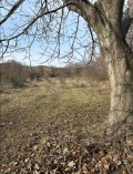 Продава ПАРЦЕЛ, област Стара Загора, с. Колена • 32000 лв. • 37957282 — Holmes.bg