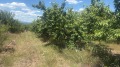 Продава  Земеделска земя област Кюстендил , с. Горна Гращица , 6.876 дка | 79748448 - изображение [6]