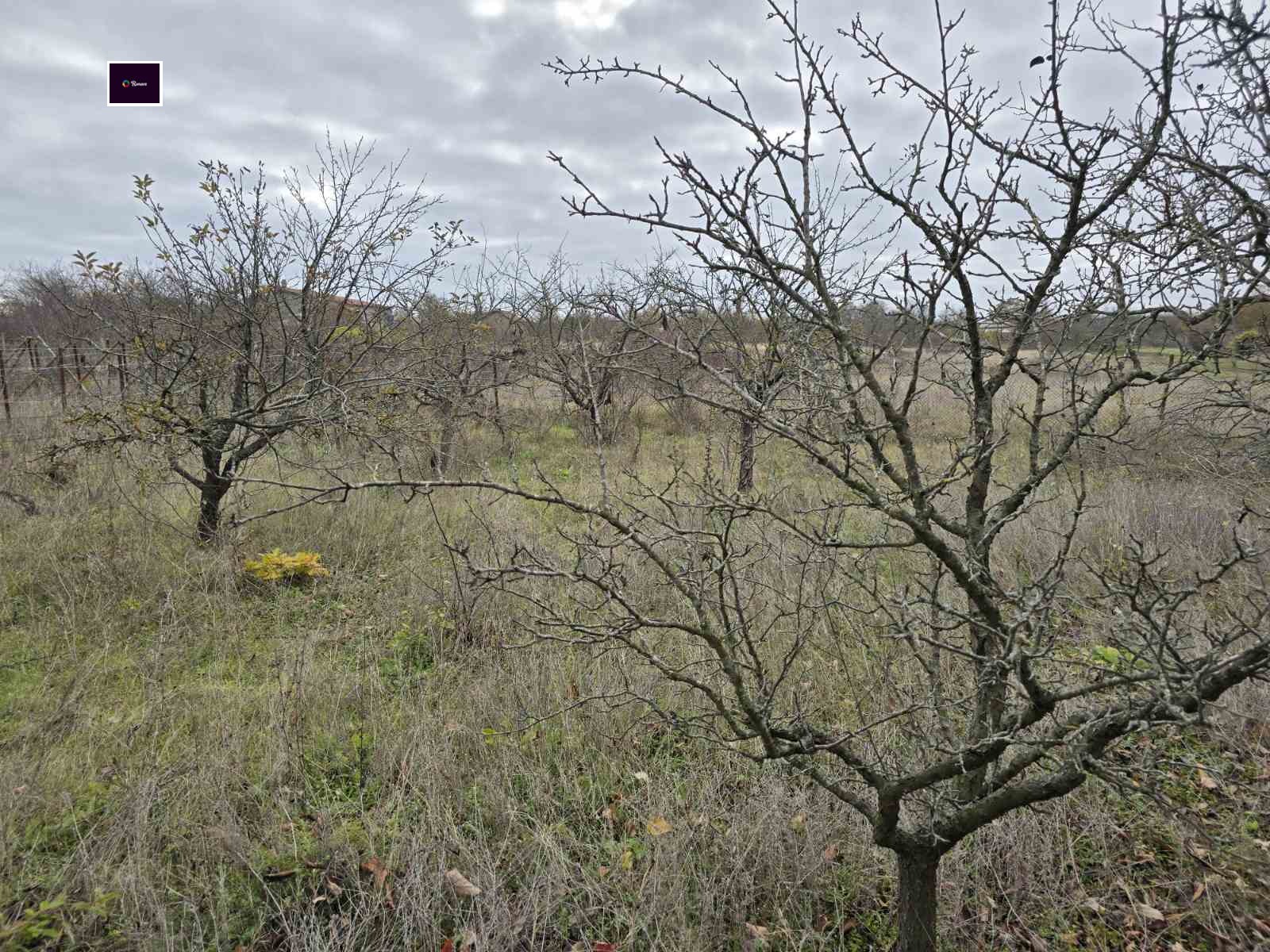 Продава КЪЩА | Imot.bg — изображение 5