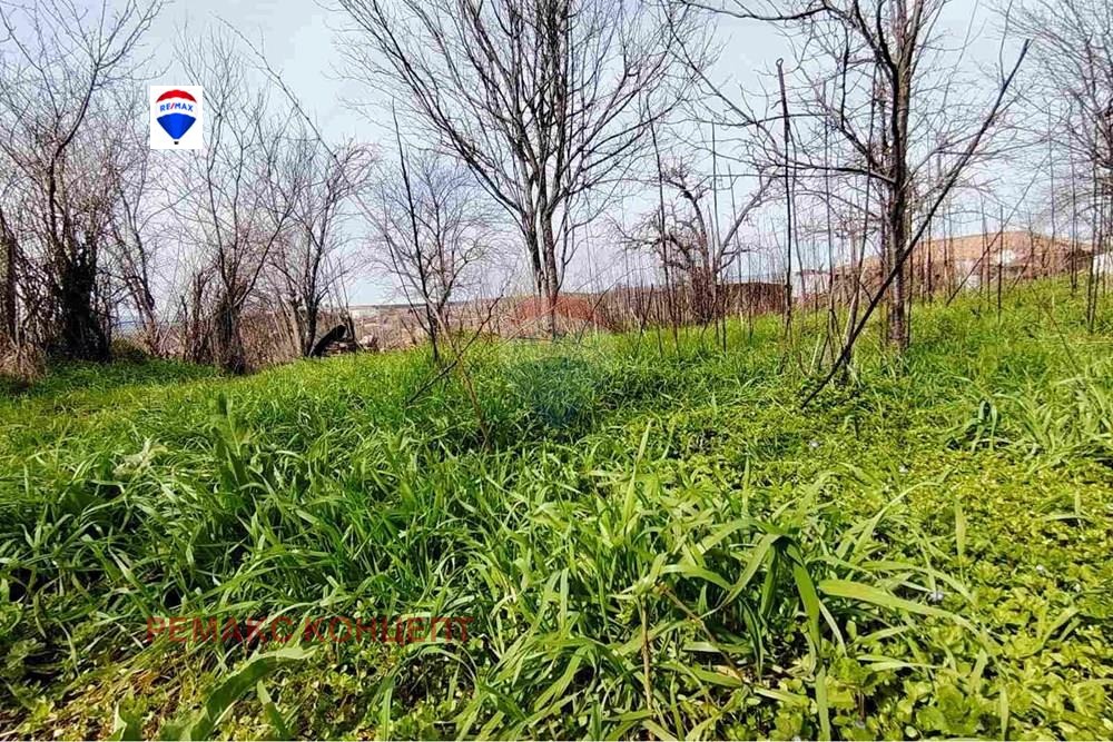 Продава КЪЩА, с. Златар, област Шумен, снимка 10 - Къщи - 53823196