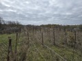 Продава КЪЩА, с. Осеново, област Варна, снимка 2