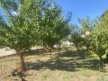 Продава КЪЩА, област Варна, с. Старо Оряхово • 250000 € • 56409235 11