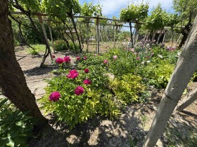 ������� ���� | Imot.bg � ����� ������ 17