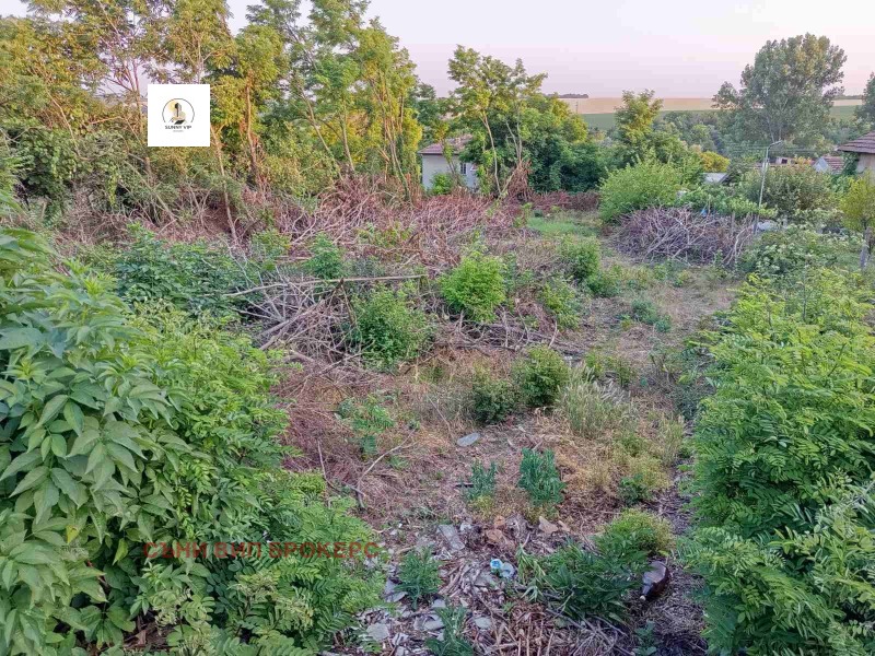 Till salu  Komplott region Pleven , Grivica , 781 kvm | 20841590