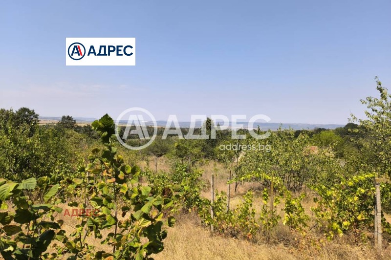 For Sale  Plot Varna , Zvezditsa , 600 sq.m | 17461245 - image [4]