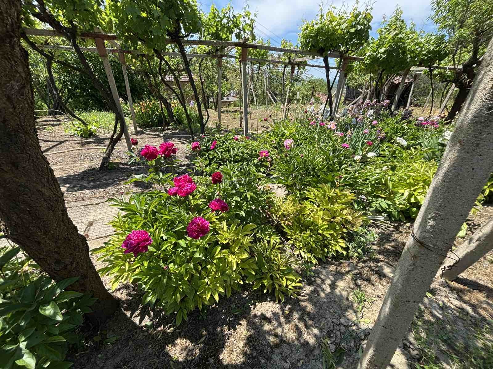 Продава КЪЩА, с. Милковица, област Плевен, снимка 17 - Къщи - 55091774
