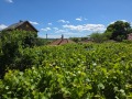 Продава КЪЩА, с. Юлиево, област Стара Загора, снимка 3