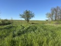 Продава ПАРЦЕЛ, с. Калиманци, област Варна, снимка 2
