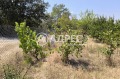 Продава ПАРЦЕЛ, град Варна, с. Звездица • 21000 € • 63121001 — Holmes.bg