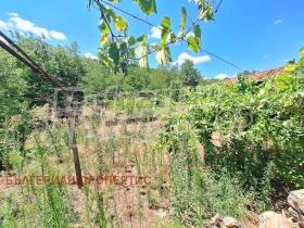 ������� ���� | Imot.bg � ����� ������ 12
