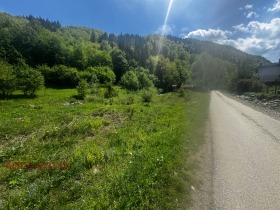 Grund Ribaritsa, region Lovech 5