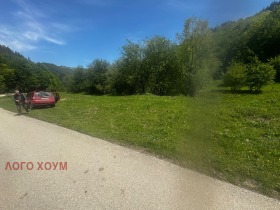 Grund Ribaritsa, region Lovech 6