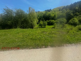 Grund Ribaritsa, region Lovech 7