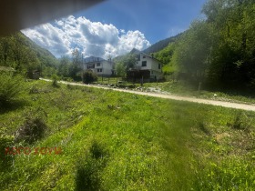 Grund Ribaritsa, region Lovech 4
