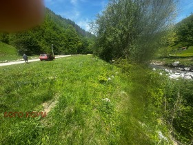 Grund Ribaritsa, region Lovech 1