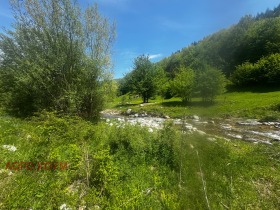 Grund Ribaritsa, region Lovech 2