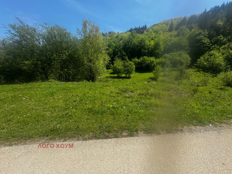 Til salg  Grund region Lovech , Ribaritsa , 12000 kvm | 64371646 - billede [7]