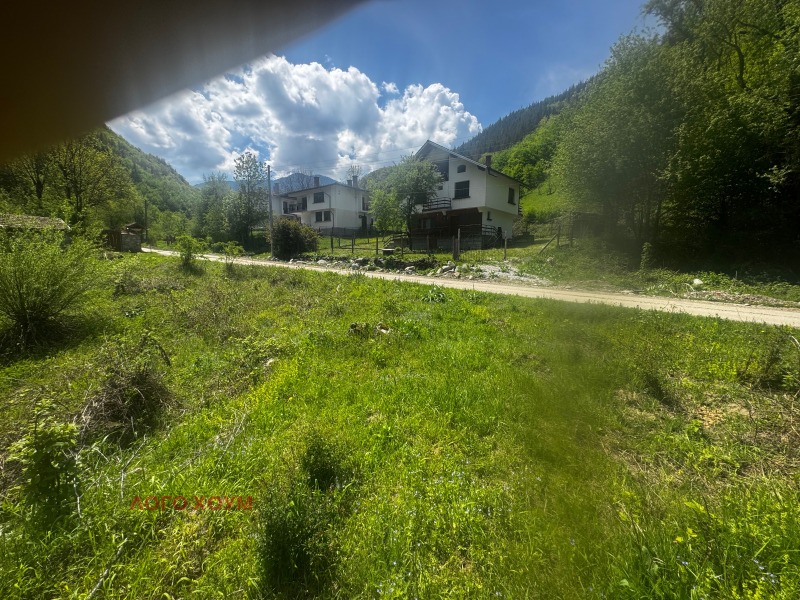Til salg  Grund region Lovech , Ribaritsa , 12000 kvm | 64371646 - billede [3]