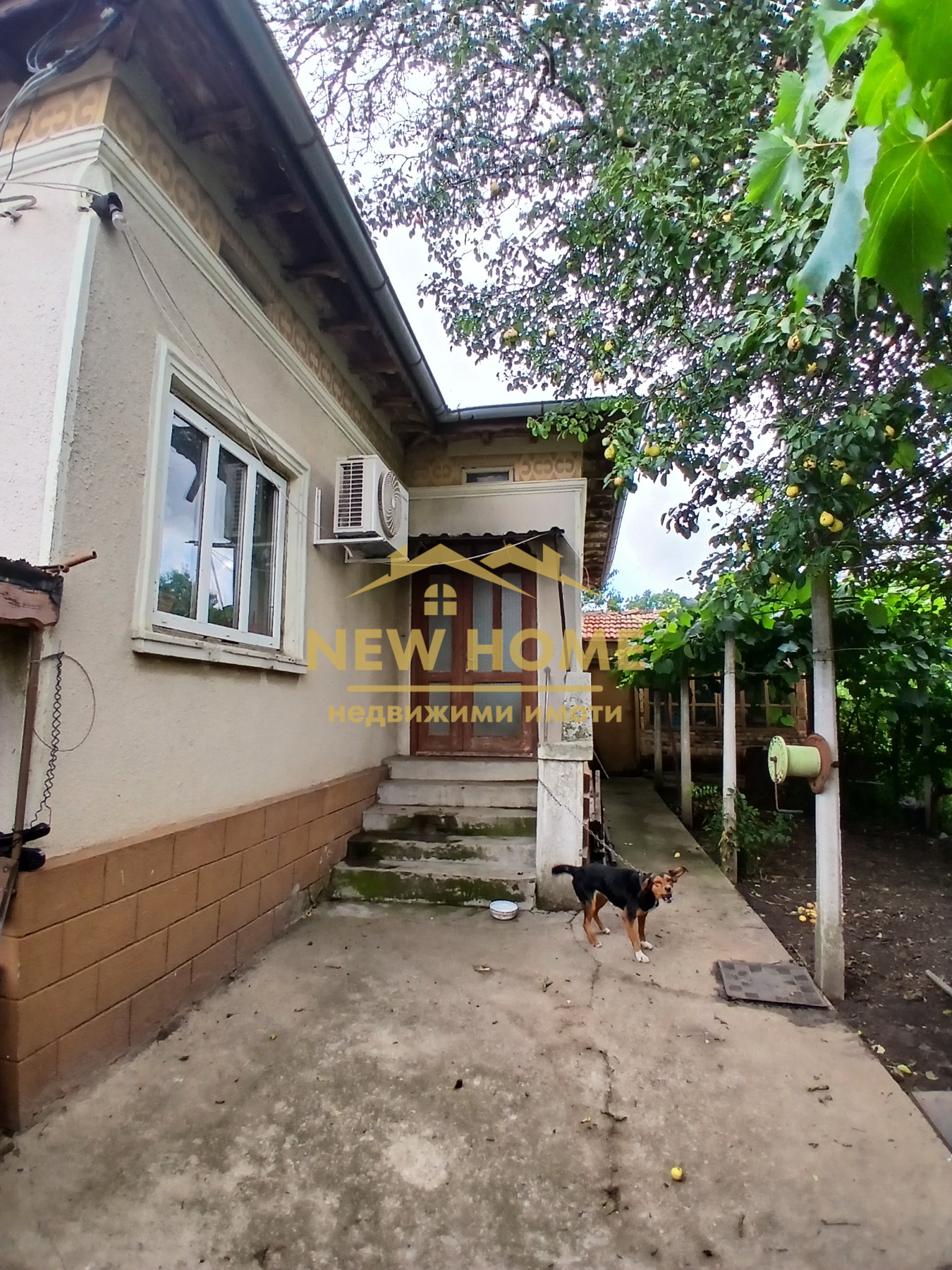 ������� ���� | Imot.bg � ����������� 1