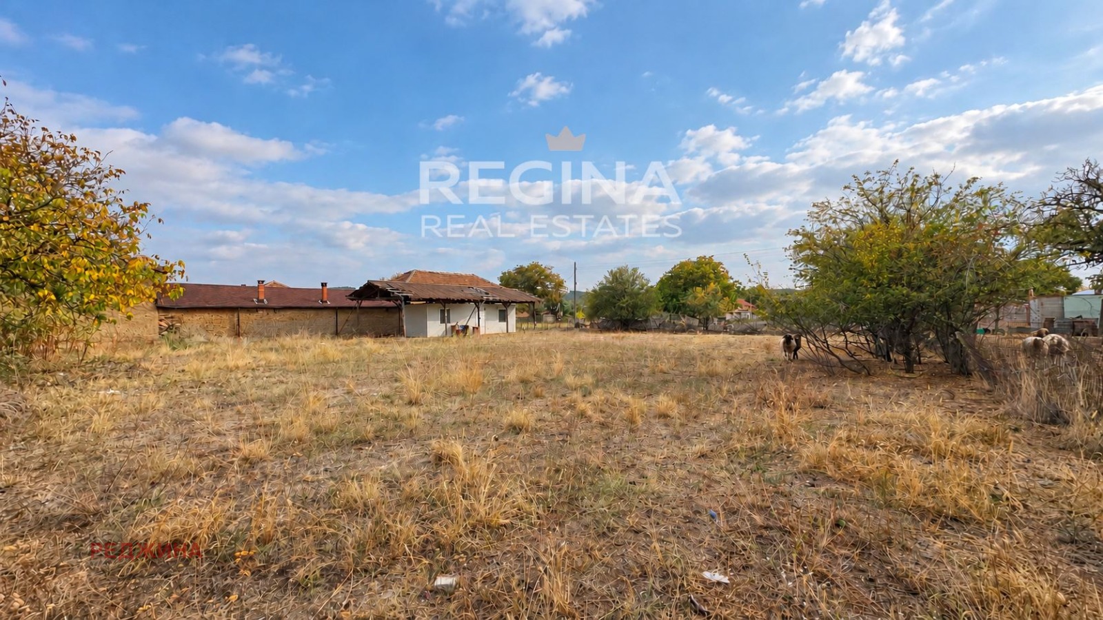 ������� ������ | Imot.bg � ����������� 2