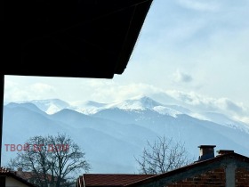 ����� ������� 1-�����,��. ������, ������ �����������