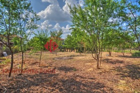 ������� ������ | Imot.bg � ����� ������ 7