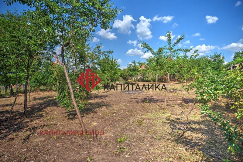 Продава ПАРЦЕЛ, гр. Борово, област Русе, снимка 4 - Парцели - 53409020