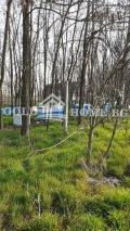 Продава ЗЕМЕДЕЛСКА ЗЕМЯ, с. Царацово, област Пловдив, снимка 2